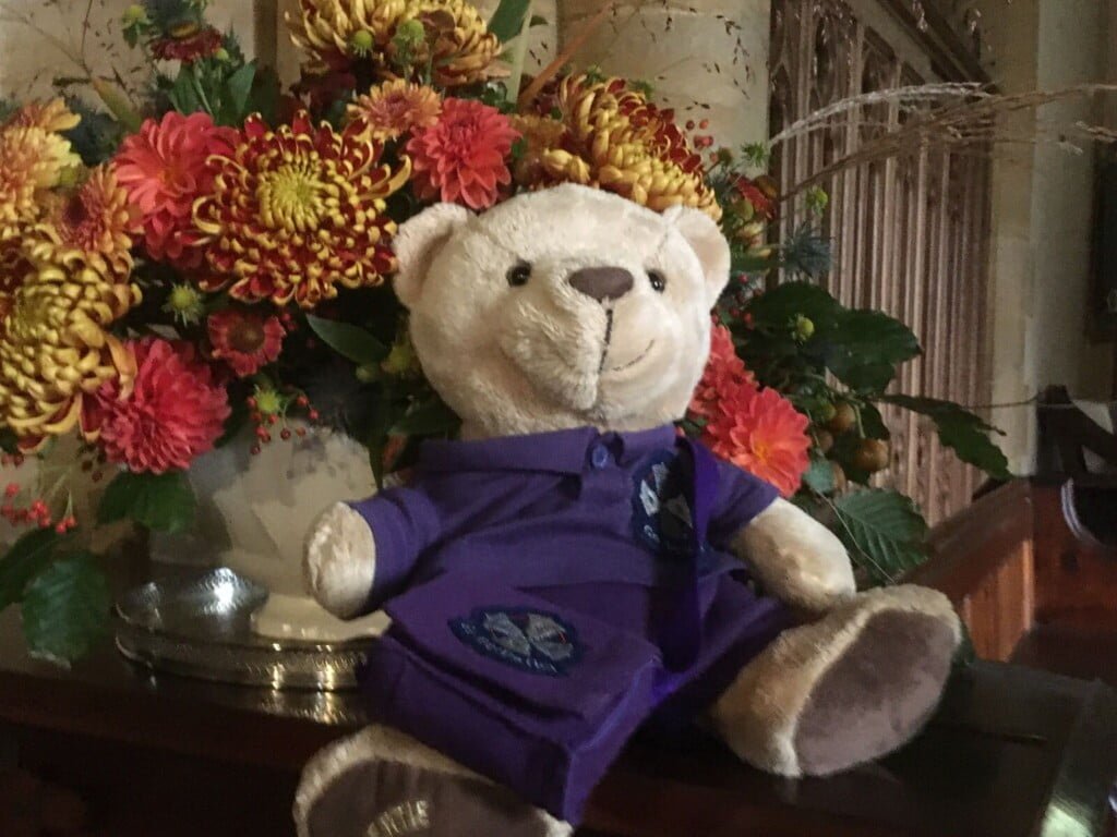 Bertie at Milborne St Andrew
