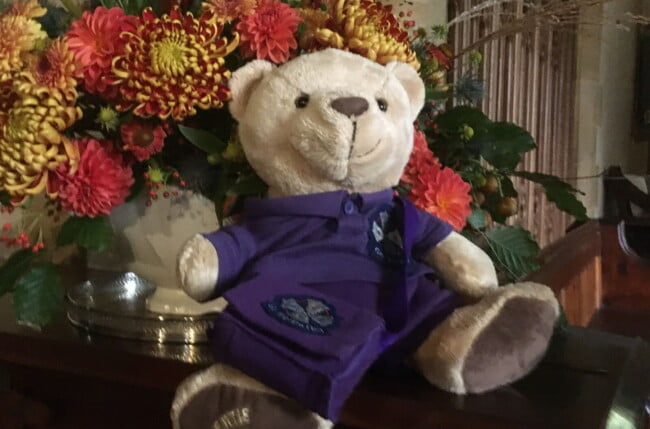 Bertie at Milborne St Andrew