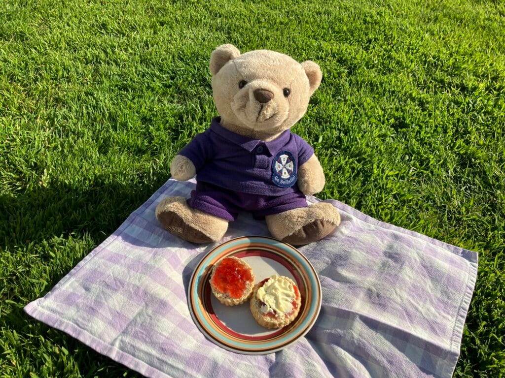 Young Ringers mascot Bertie on a picnic blanket with scone and jam