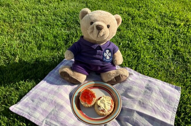 Young Ringers mascot Bertie on a picnic blanket with scone and jam